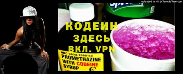 твердый Бородино
