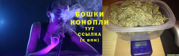 твердый Бородино
