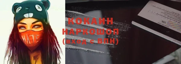 твердый Бородино
