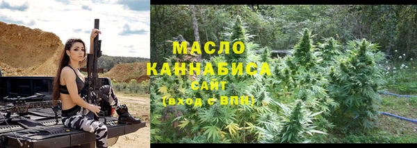 твердый Бородино