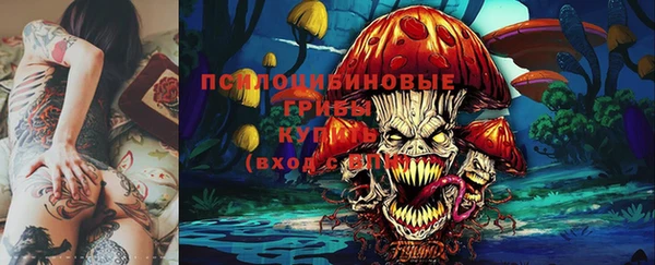 твердый Бородино