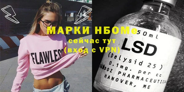 твердый Бородино